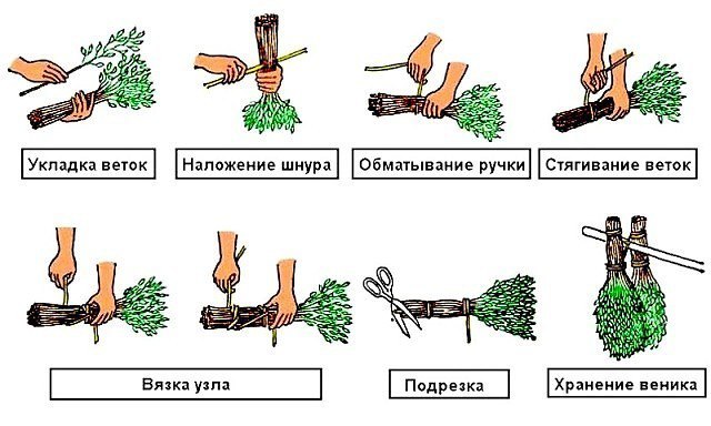 Срок вязания веников Срок вязания веников