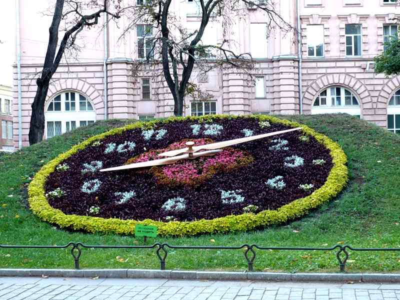 Пример клумбы арабеска