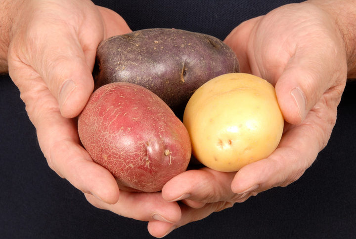 Что необходимо знать о картофеле