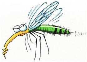 Семь методов для снятия комариного зуда.