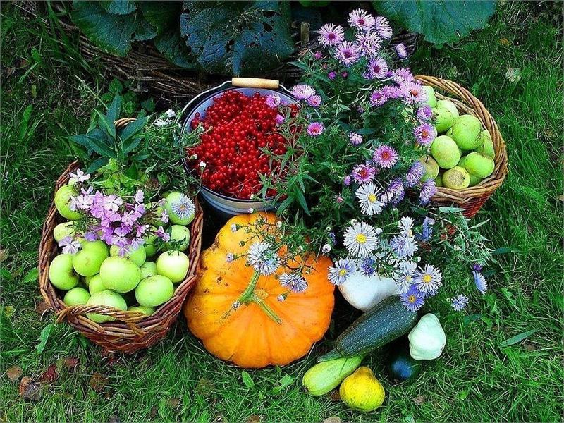 Картинки про август