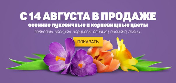 Семена И Луковицы Цветов Купить В Москве