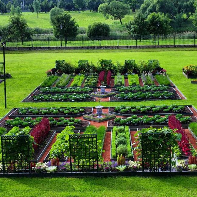 ленивый огород пермакультура. распланировать огород. размещение сада. планировка огорода. красивый огород.