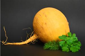 Репа: вкусна и не калорийна
