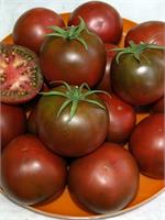 Самый взыскательный вкус удовлетворит томат Шоколадный пряник F1