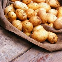 Почему картофель опять не уродился?
