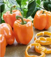 Jaké jsou výhody oranžové papriky?