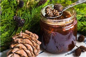 Пробовали варенье из шишек? А другие таежные лакомства?