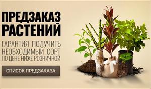 Мы начинаем прием предварительных заявок на растения!