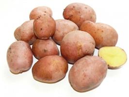 Картофель семенной Накра