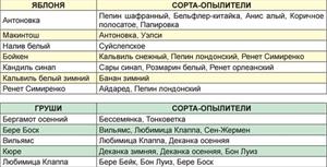 Об опылении зимой заботимся
