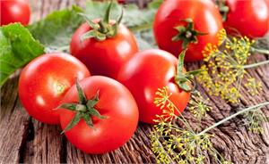 Представляем в нашем магазине новые сверхпродуктивные томаты!