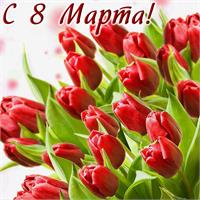 Милые женщины, поздравляем с 8 марта!