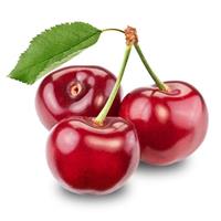 Вишня Изобильная - самоплодный позднеспелый сорт
