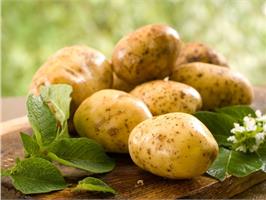 Молодой картофель в июне