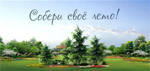 У нас в продаже ОГРОМНОЕ количество декоративных растений!