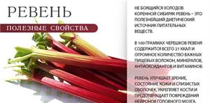 Ревень