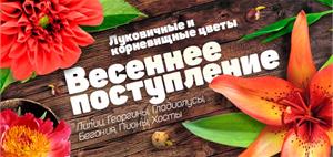 Продажа луковичных и корневищных сезона 2016 ОТКРЫТА!!!