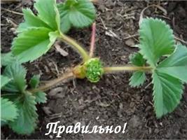 Не стоит забывать..