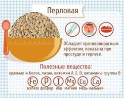 Путеводитель по кашам 