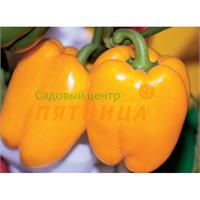 Вкусный и полезный оранжевый перец! 