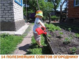 14 полезнейших советов огороднику 
