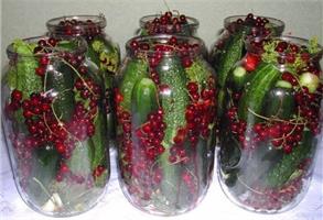 Маринованные огурцы в банке с красной смородиной 