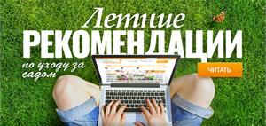 Летние рекомендации по уходу за садом в июле 
