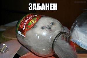 Забанен 