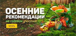 Осенние рекомендации по уходу за садом 