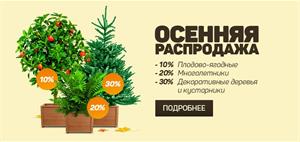 Осенняя распродажа растений в СЦ ПЯТНИЦА! 