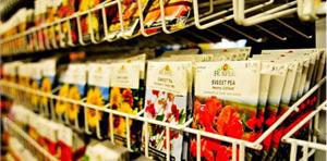 Семена сезона 2017 в продаже в СЦ ПЯТНИЦА 