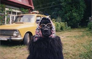 А как Вы ездите на дачу?)) 