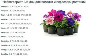 Неблагоприятные дни для посадки и пересадки растений 