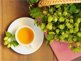 Чай с хмелем - необыкновенный, но забытый 