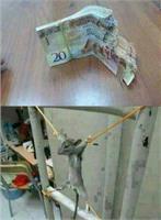 Расстрел... 