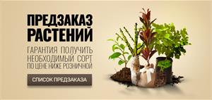 Предзаказ на весну 2017 открыт!