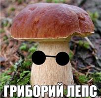 10 причин выращивать грибы!!! 