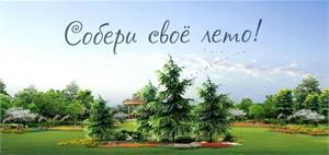 У нас в продаже ОГРОМНОЕ количество декоративных растений!