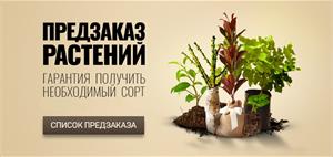 Предзаказ на весну 2017 открыт!