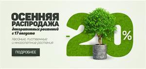 Скидка 20%!