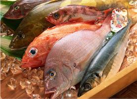 Какая морская рыба самая полезная