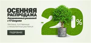 Уже сейчас на декоративные растения скидка 20%