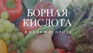 Применение борной кислоты в саду и огороде