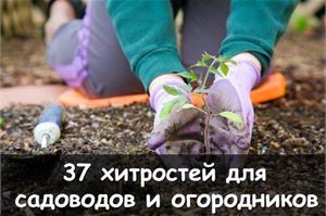 Полное собрание дачных хитростей