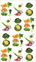 Как соблюдать севооборот овощных культур на участке?