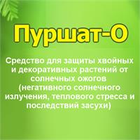Пуршат-О