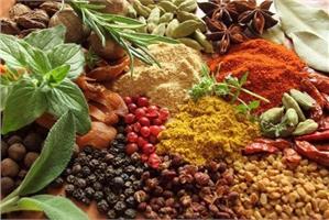 Питание пряно-вкусовых овощных культур