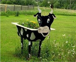 Завели корову на даче)))