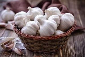 Сажаем чеснок осенью! 5 хитростей для большого урожая